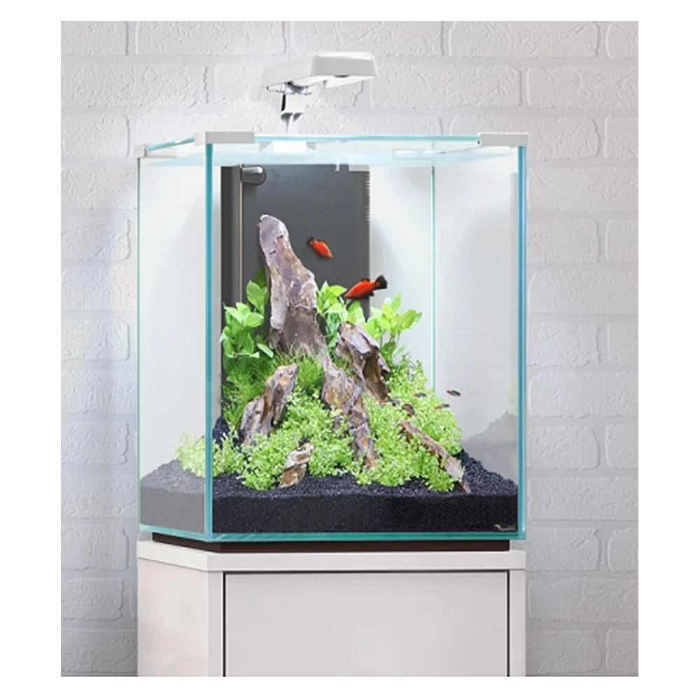 Aquarium Mini Cube Wenge