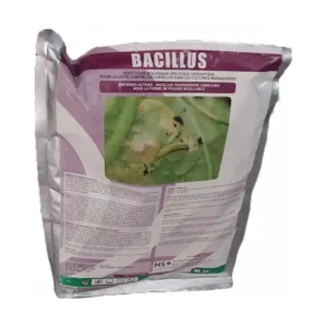 Bacillus - 1Kg