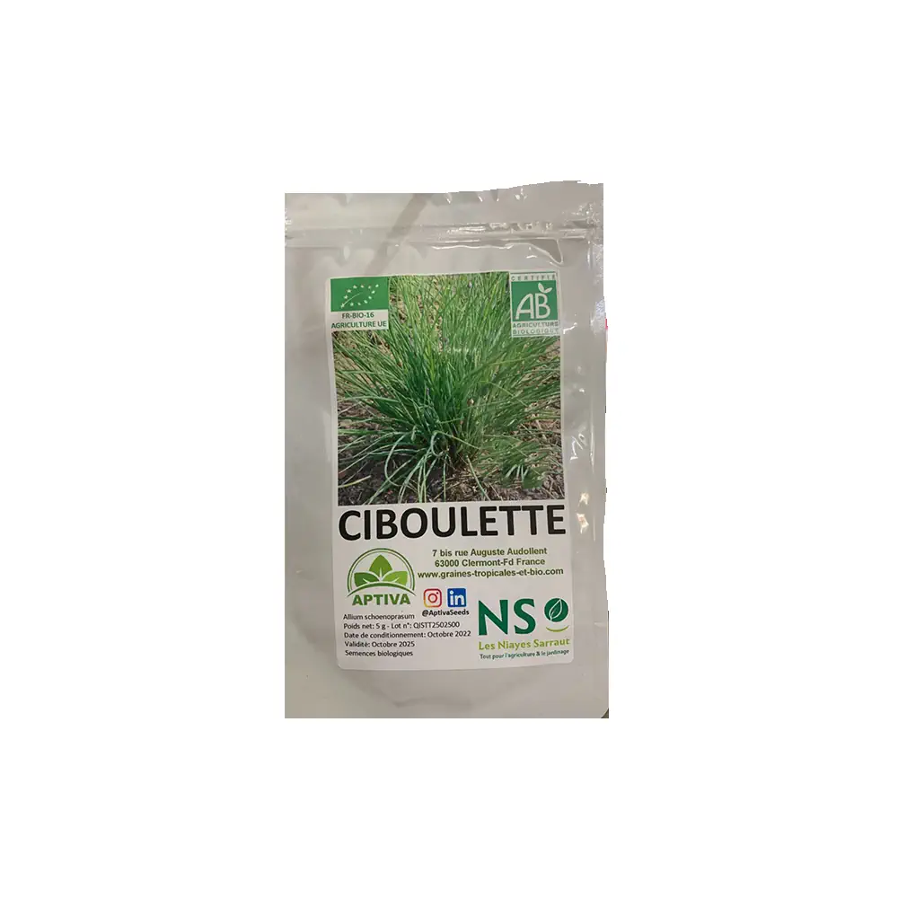 Ciboulette Bio - Sachet de 5G