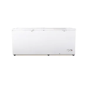 Congélateur Horizontal Hisense 940L