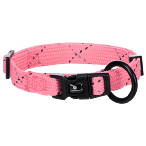 Collier Chiot Dolly