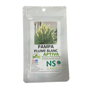 Pampa Plume Blanc Sachet de 1g