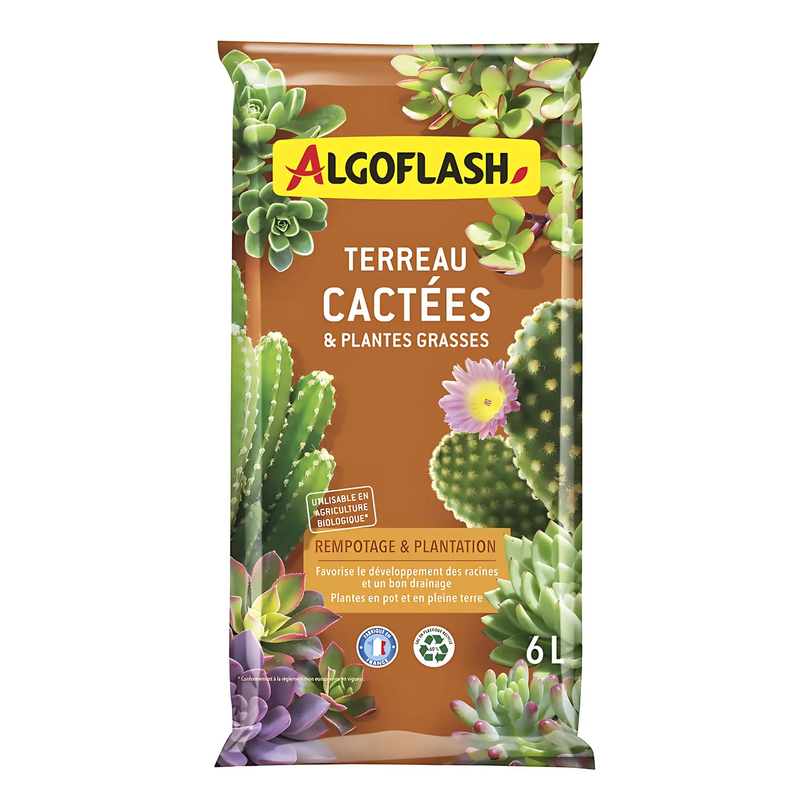 Terreau Cactus - 6L