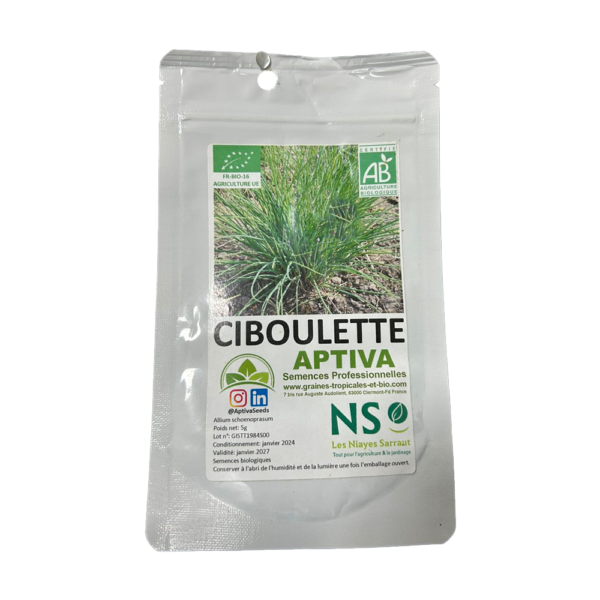 Ciboulette Bio – Sachet de 5g