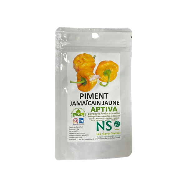semences piment jamaicain jaune sachet de 10g