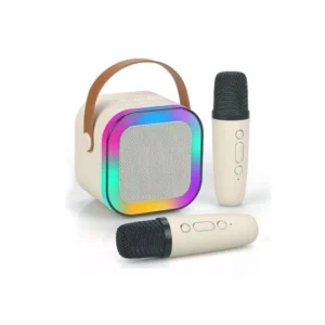 Enceinte Lumineuse Karaoké avec 2 Micros Sans Fil